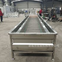 All kinds of fruit kiwi apple bubble washing machine bubble surfing fruit washing machine vegetable washing machine