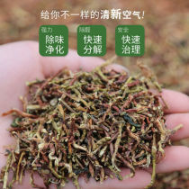 (healthy formaldehyde removal) tea stalks new car flavor removal bulk green tea stalks deodorization home new house decoration absorption