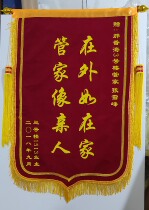 Custom-made pennants send doctors send teachers coaches instructors sister-in-law personality and creativity custom pennants flags