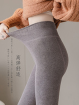 Cashmere leggings women outer wear autumn and winter thick high-waisted L cotton-wadded trousers pantyhose da di wa warm pants stockings