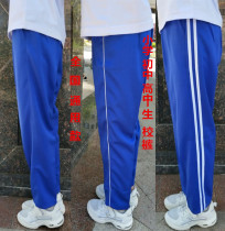 Spring Fall Blue School Pants Sports Pants Schoolgirls School Uniform Pants Men Trousers Breathable Wear and wear sports pants