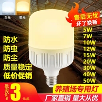 Special led Bulb for Laying Hens Super Bright Farm Warm Light Chicken House Pig Farm Lighting Laying Hens Energy Saving LED Bulb