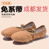 Lace-free dance shoes Women and children adult ballet Chinese dance body practice soft bottom camel dancing cat claw shoes
