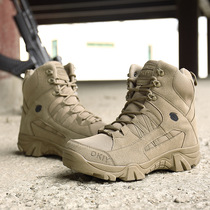 Cross-border autumn and winter special forces hiking boots Outdoor high-top desert boots Tactical boots Military fans