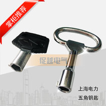 Promote Yue MS405 power pentagonal lock Meter box lock Inner pentagonal key Power supply office lock Shanghai power meter lock