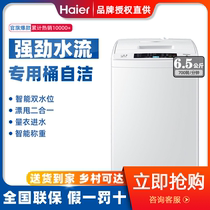Haier washing machine automatic child prodigy wave wheel 6 5kg kg small household dehydration spin dry EB65M019