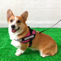 Dog explosion-proof punching chest harness traction rope Kirky medium small dog cute dog going out for anti-explosion harness vest style