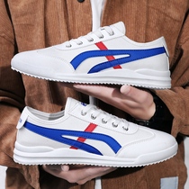 Noble bird 2021 summer new mens shoes sports leisure cloth shoes Forrest Gan shoes trend board shoes small white shoes