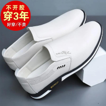 Leather shoes men 2022 Spring new trends Mens shoes Leisure 100 lap breathable Korean version Soft leather Soft bottom Little white shoes