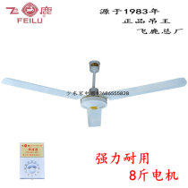 Feilu General Factory 48-inch 56-inch ceiling fan five-leaf iron leaf stainless steel household industry AC ceiling fan