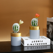 Simulation cactus fleshy green plant potted ornaments living room study desktop decoration interior plants Nordic ins