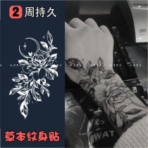 Grass Ben Collarbone Pattern Body Patch Juice Waterproof Persistent Mens Arm Flower Arm Juice Hot Girls Tattoo Patch