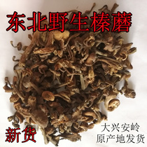 Northeast Daxinganling native products new dry goods wild hazelnut mushroom 500g meat thick root-free sulfur-free mushroom