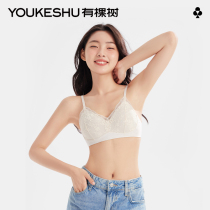 A tree E-level underwear lady with small breast gathering without steel ring soft support anti-drop-proof thin breathable lace bras