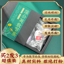 Dandelion root Sanjie tea with bitter Ding Tong breast female breast lung nodules Shugan Jieyu Super Wild
