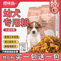 Puppy special dog food milk cake 1-12 months Universal type 6 pounds Golden Retriever Labrador Teddy Corgi Bomei border shepherd