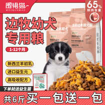 Special small milk cake dog food for puppies 6 pounds of beautiful hair bright hair calcium supplement for large dogs 40 full price food