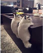 Cat LCD TV pendant living room home decorations plush toy doll birthday gift