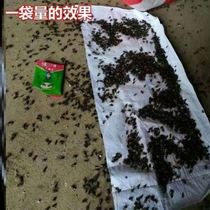 Dry toilets remove flies pig farms flies bait restaurants mosquito-repellent artifact mosquito-repellent incense rural toilet farms