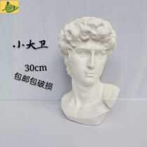 High 30cm small David plaster with high strength pure white plaster powder to make sketch decoration supplies