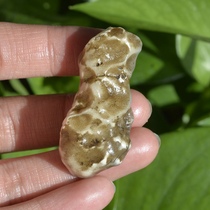 L=45 5mm Natural Xinjiang Lop Nur surface albumin stone Rough bare stone pendant Sun rust 29#