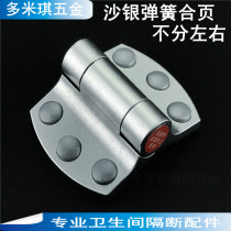 Toilet partition hardware accessories toilet compartment Dinggu sand silver concealed automatic closing spring hinge