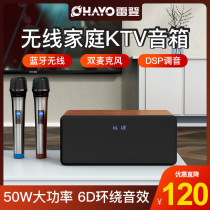 Leiden family KTV audio set full set of karaoke machine equipment mobile TV singing living room small singing machine wireless microphone microphone singing machine