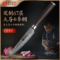 Xinzuo damascus steel knife 5 inch universal knife Kitchen multi-function knife slicing knife Fruit paring knife