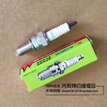 Guangyang Original Road Hunter 125 CK1 CK150 Spark Plug Mars plug CR7E CR8E