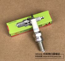 Guangyang ORIGINAL CURVE LOVER RACING ACC KCC 2V 4V SPARK PLUG MARS plug NOZZLE