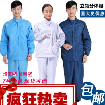 Dust suit split collar anti-static dust-free clean food white work clothes short mens and womens suit