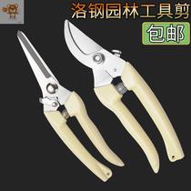 Garden scissors pruning branches fruit trees scissors horticultural scissors petripling scissors strong plant scissors