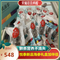 Yuetai fresh steamed ginseng 500g Yao pillar companion 120g fresh sea cucumber deep sea wild gift box gift bag Yantai specialty