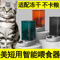 Beauty short with smart feeder kittens Automatic supplies Remote visual timing Quantitative dosing machine storage Grain Barrel Cat Bowls