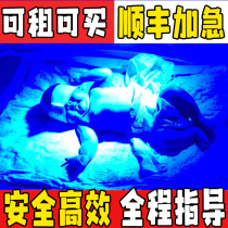  Baby blue light baby to shine on the blue light machine blue light instrument newborn children childrens home detector rental