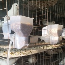 Pigeon automatic trough feeder semi-automatic feeder pigeon cage breeding equipment pigeon meat Pigeon Pigeon equipment supplies