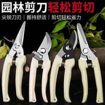 Type rough branch shears 8 inch fruit tree shears special tree pruning shears scissors branch thickening sk5 scissors strong