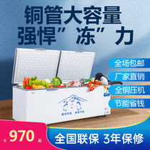 Xuebaolai freezer Commercial large capacity refrigerated frozen frozen single temperature double temperature energy-saving supermarket horizontal copper tube freezer