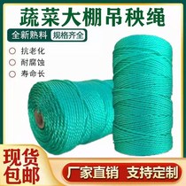 Hanging rope hanging vine rope cucumber tomato pepper greenhouse vegetable rope pulling branch rope climbing rattan rope wear-resistant nylon rope