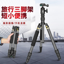 Jifeng DW-422 portable SLR camera carbon fiber tripod mobile phone photo travel micro single photography tripod