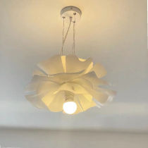 Dunn (DUNN) nets red flowers chandeliers decorate modern minimalist-like inter-board clothing shop shops