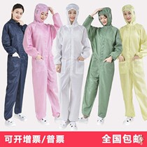 Hengle Peak anti-static one-body work clothes painting chemical-resistant clothing clean clothing hooded protective clothing dustproof clothes