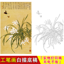Yu Zhizhen Chinese Painting Flowers and Birds-Ivory White Orchid Painting White Orchid Painting White Drawing Bottom Draft Copy Beginner Non-electronic Version JV39