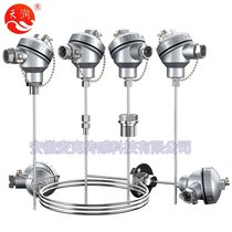 Manufacturer Anhui Tianchang Mike instrument armored thermocouple armored thermal resistance K-type E-type Pt100