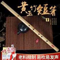 Qin Yin Huangyu Zhuxiao Musical Instrument Beginner Adult Childrens Refined Short Performance Level GF Eight Hole Six Hole Hole