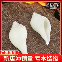 Natural white shellsNepal conch Tibetan style supplies household magic instruments eight offerings one tone supplies household ornaments