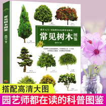 Common tree illustration Gardening books Garden flowers and trees illustration Daquan seedling books Plant illustration books Daquan Green tree seedlings Courtyard Garden Botanical garden Forest arboriculture adult version of seedling Daquan books