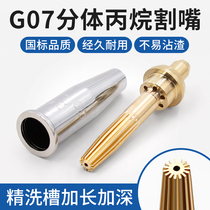 Cutting nozzle oxygen acetylene propane gas manual cutting gun G07-30 100 300 plum blossom cutting nozzle liquefied gas through needle
