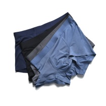 High-bomb Nest Purifi Bacteria Inside Foreign Trade Exit Tail Cutting Men Untraced Flat Panties