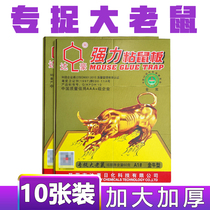 Dachau rat paste strong mouse glue home thickened rat trap rodent cage big golden cow type